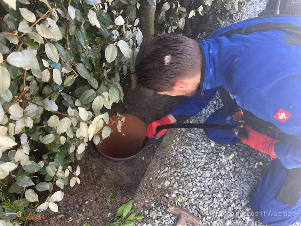 Rioolvliegjes Woerden Rioolvliegjes Woerden